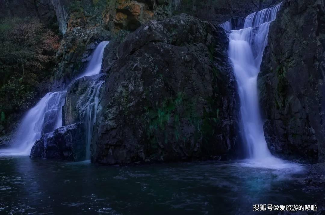 救援小袋熊